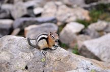 Banff or Canmore: Shuttle to Moraine Lake