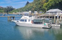 Harbour, Albatross and Wildlife Cruise on Otago Harbour