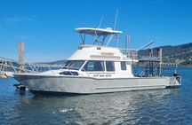Harbour, Albatross and Wildlife Cruise on Otago Harbour