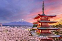 Mount Fuji and Hakone Private Tour with Pickup from Tokyo