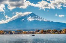 Mount Fuji and Hakone Private Tour with Pickup from Tokyo