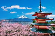 Mount Fuji and Hakone Private Tour with Pickup from Tokyo
