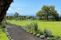 Organic Lunch With Wine Tasting from Pompeii