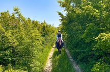 1 Day Horse Riding Tour at Palomino Ranch