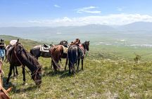 1 Day Horse Riding Tour at Palomino Ranch