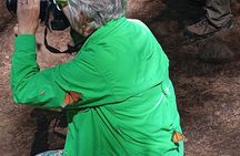 Monarch Butterflies El Rosario Preserve from Mexico City 