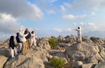 Half day Dolphin Watching + Dhow + Mountain safari -One day tour