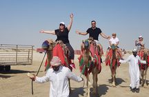 Camel Safari in Desert with Pickup and Drop off in Doha