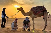 Camel Safari in Desert with Pickup and Drop off in Doha