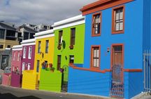 Half Day Tour: Table Mountain & KirstenBosch Botanical Gardens