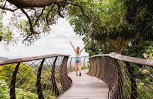 Half Day Tour: Table Mountain & KirstenBosch Botanical Gardens