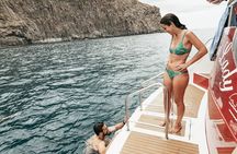 Tenerife Los Cristianos: Whale and Dolphin Eco-Yacht and Swim Stop