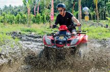 Bali ATV Quad Bike Adventure with Sangeh Monkey Forest Experience