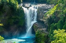 Half Day Bali Private Tour