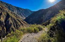 Colca Canyon Trekking - 3 Days