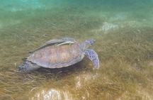 Full Day Tulum Paradise Beach