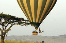 4-Day Safari Tarangire Serengeti and Ngorongoro