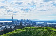 Bright Mornings in Auckland