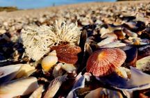 Costal Hiking Sacramento Trail Port Elizabeth 