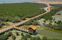Doha Zubara Fort, Purple Island and Mangrove Exploration 