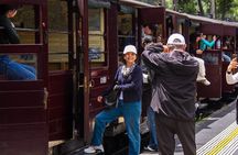 Puffing Billy Tour and Penguin Parade from Melbourne 