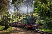 Puffing Billy Tour and Penguin Parade from Melbourne 