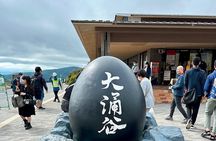 Mt fuji & Hakone customizable day tour w/ English speaking driver