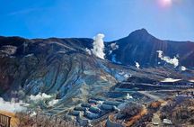 Mt fuji & Hakone customizable day tour w/ English speaking driver