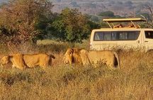 Elky Day Trip Tsavo East National Park