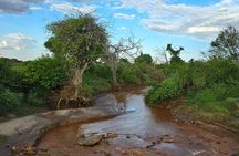 Elky Day Trip Tsavo East National Park
