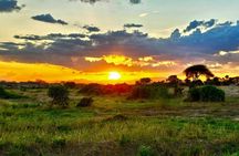 Elky Day Trip Tsavo East National Park