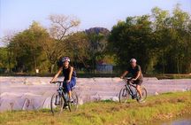 Luxury Ninh Binh Highlights Small Group Day Tour