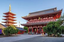 Best of Tokyo in a Day Small Group Tour