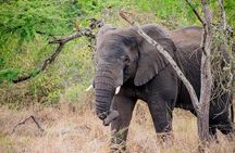 1 Day Akagera National Park Safari Adventure Quest