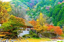 From Nagoya: Discover Aichi — Korankei, Miso, & Inari Shrine