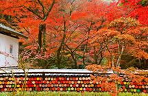 From Nagoya: Discover Aichi — Korankei, Miso, & Inari Shrine