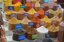 Dubai Private Full Day City Tour from Dubai