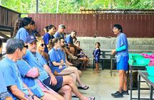 Elephant Care Experience