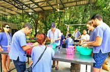 Elephant Care Experience