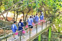 Elephant Care Experience