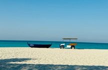 Abu Dhabi Private Full Day City Tour from Dubai 8 Hour