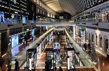 Abu Dhabi Private Full Day City Tour from Dubai 8 Hour