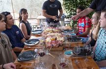 Chianti Wine Tour with 3 Wineries, Food Pairings and Tuscan Lunch