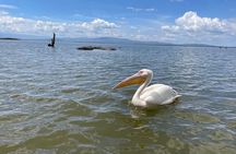 4 -days Masai Mara and Lake Nakuru guided safari from Nairobi