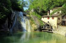 Full Day Prosecco Wine Tasting at Two Wineries from Venice