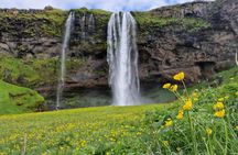 South Iceland, Glacier and Black Sand Beach Small Group Tour