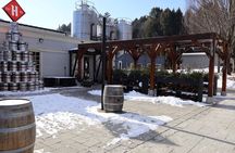 Vermont Bridges and Breweries Private Group Tour 