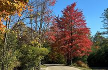 Signature Vermont Wayfinders Private Guided Tour