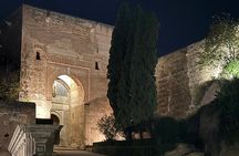 Alhambra Night Tour with tickets included Nasrid Palaces