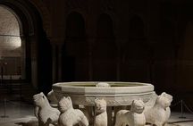 Alhambra Night Tour with tickets included Nasrid Palaces